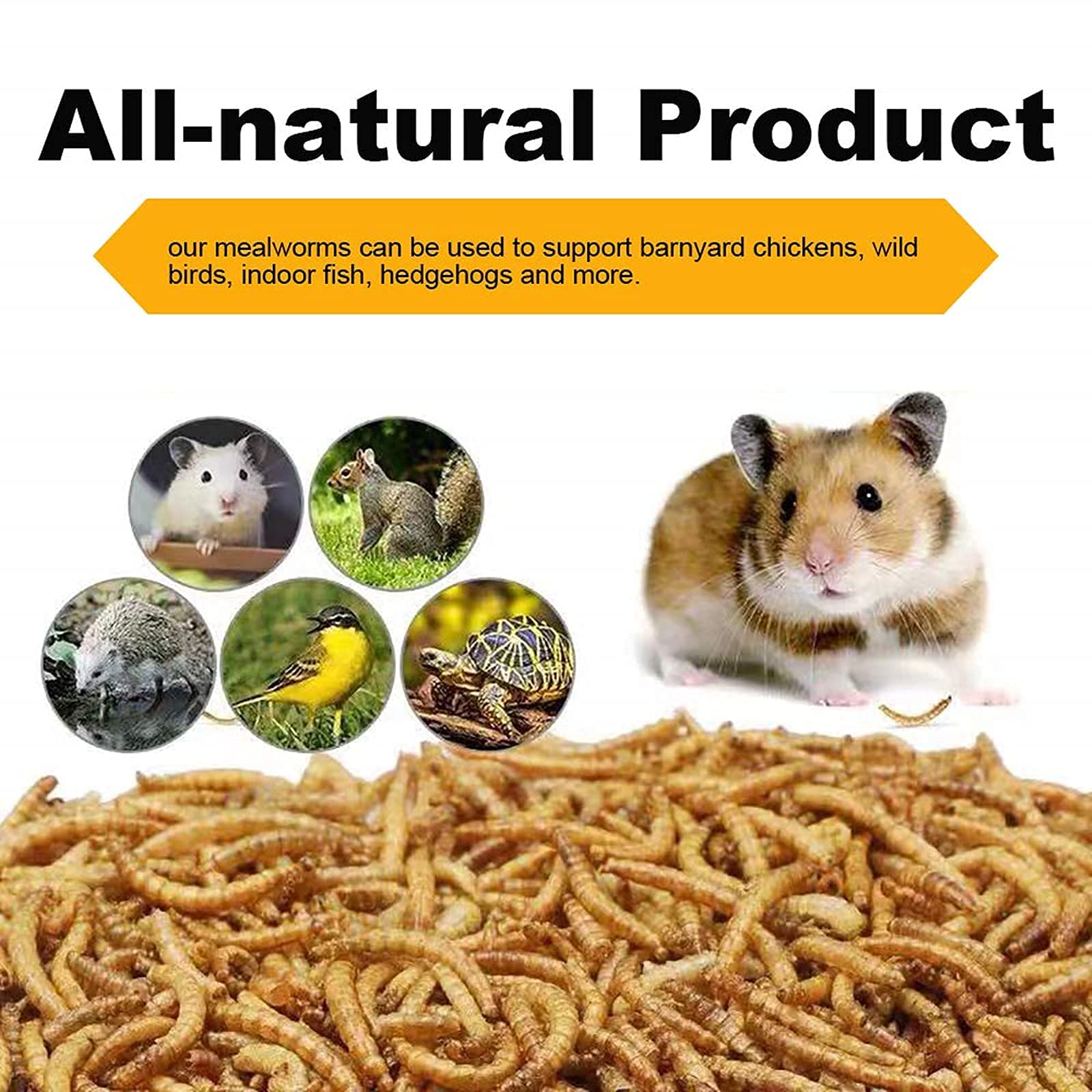 LuckyQworms Mealworms, High-Protein Dried Mealworms for Birds, Chickens, Turtles, Fish, Hamsters and Hedgehogs, Non-GMO and Chem